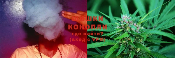 индика Аркадак