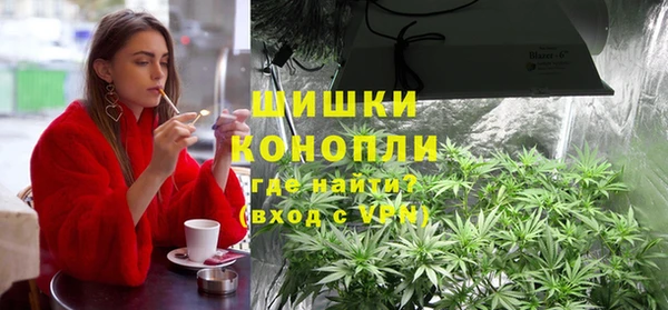 ПСИЛОЦИБИНОВЫЕ ГРИБЫ Балахна