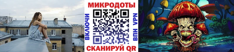 Псилоцибиновые грибы Cubensis ссылка на мегу ссылка Кологрив
